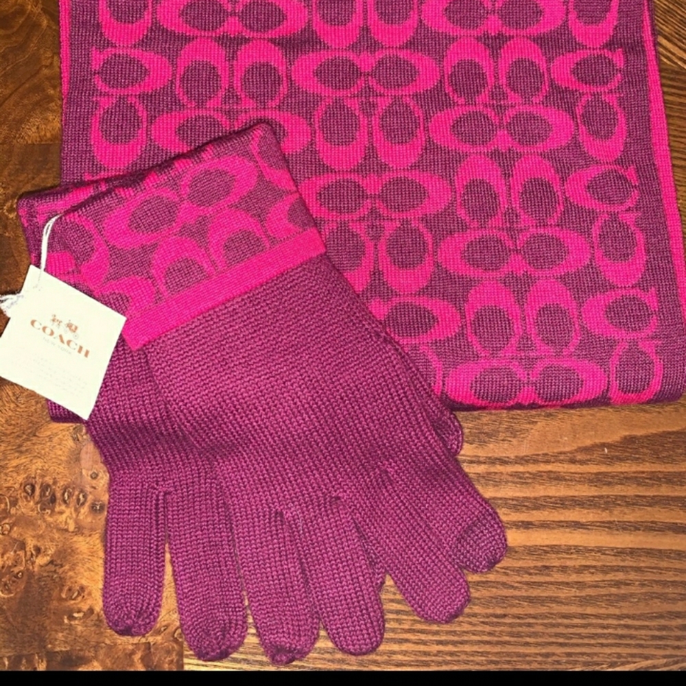 Coach Scarf and Gloves Set